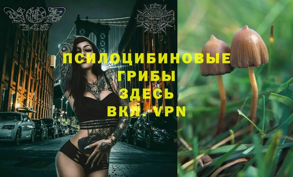 амф Абаза
