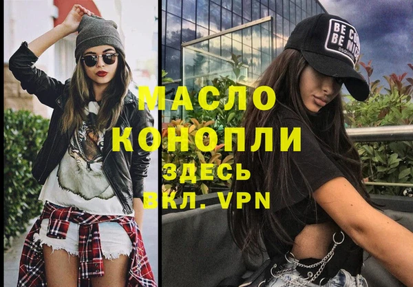 индика Осташков