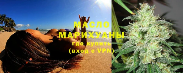 индика Осташков