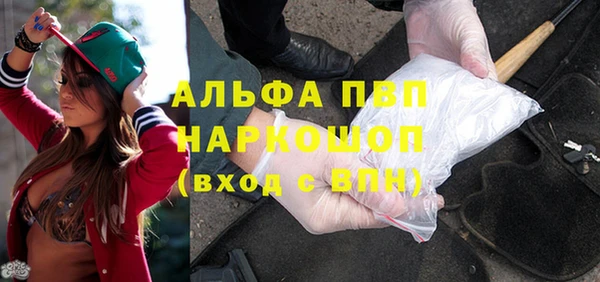индика Осташков