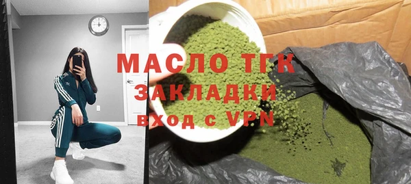 индика Осташков