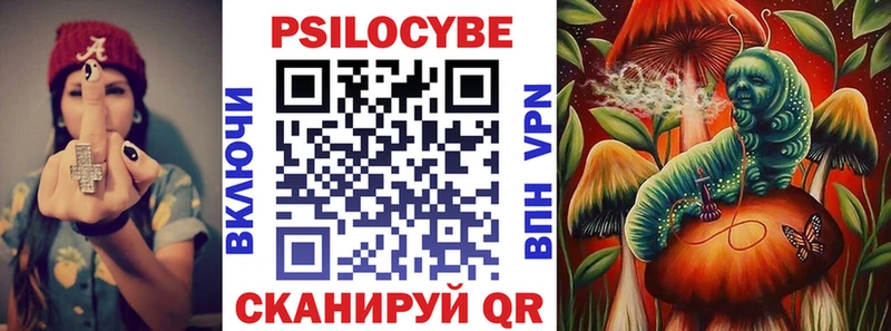 darknet наркотические препараты  где купить наркоту  Кяхта  Галлюциногенные грибы прущие грибы 