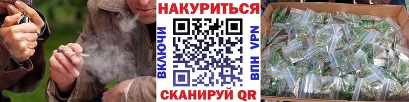 Бошки марихуана план  Кяхта 